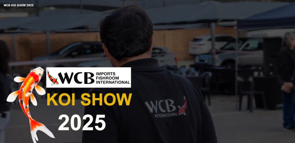 WCB Koi Show Commercial